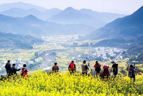 深度經(jīng)典-景德鎮(zhèn)婺源2日游走進(jìn)婺源，中國醉美的鄉(xiāng)村，最后的香格里拉