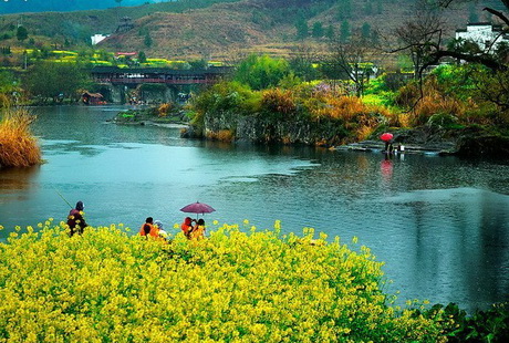 相約江西＜廬山+鄱陽湖+景德鎮(zhèn)+婺源＞3日游純玩團(tuán)，天天發(fā)