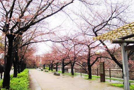 日本-大阪城公園1