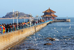 青島棧橋